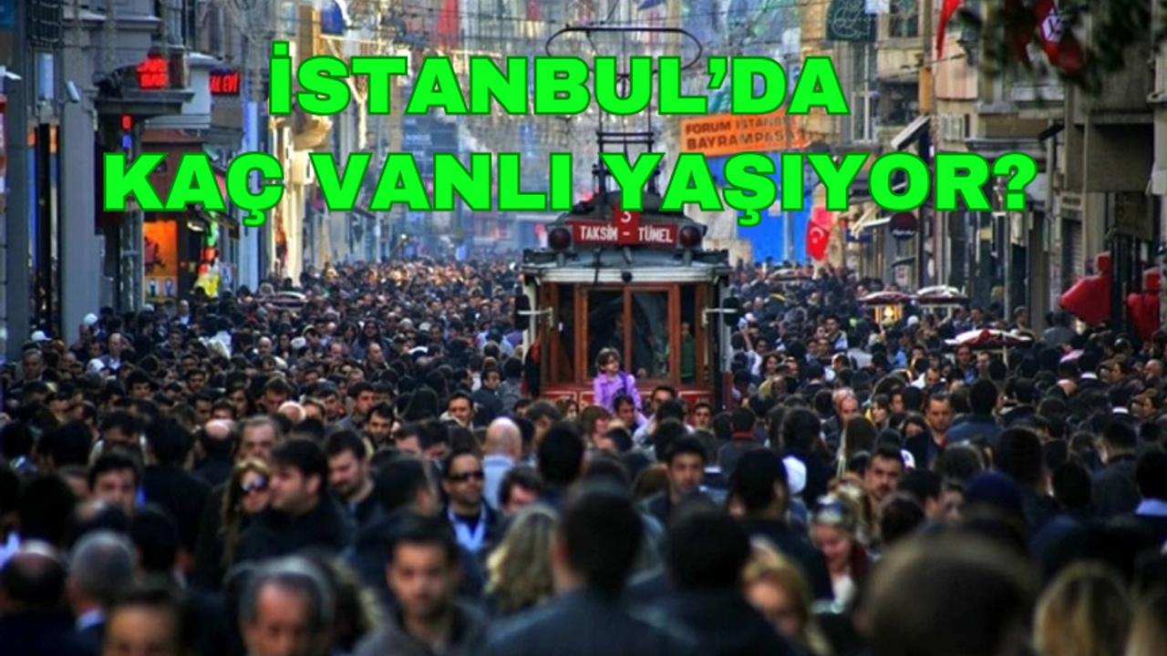 İstanbul'da Ne Kadar Vanlı Yaşıyor? İşte İl İl Yeni TÜİK Rakamları