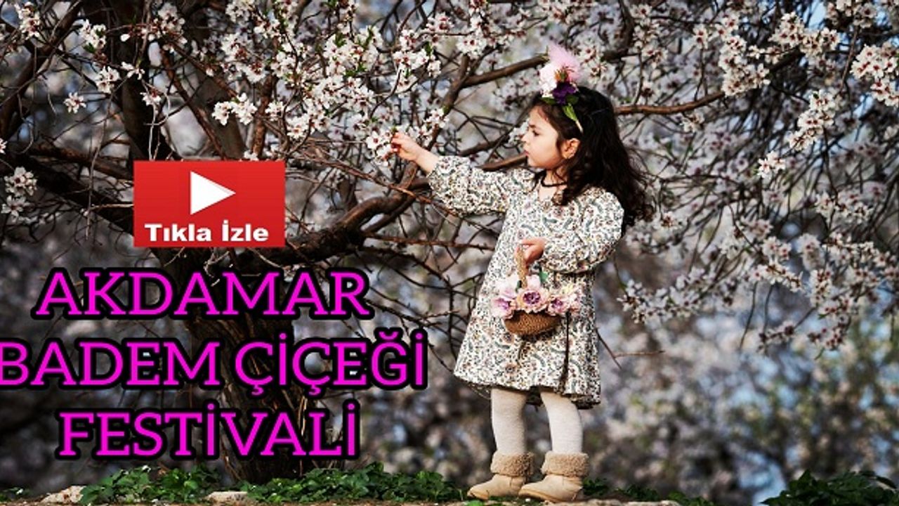 Akdamar Badem Çiçeği Festivali Renkli Görüntülere Sahne Oldu