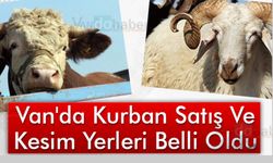 Van ve İlçelerdeki Kurban Satış ve Kesim Yerleri Belli Oldu!