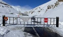 Van'da İki İlçenin Yolu Çığ Nedeni ile Kapandı