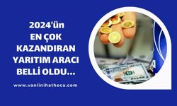 2024'te en çok hangi yatırım aracı kazandırdı?