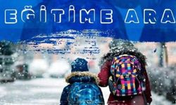 Van'ın Bir İlçesinden Kar Tatili Haberi Geldi!