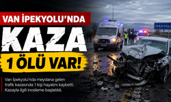 Van’da trafik kazası: 82 yaşındaki yurttaş yaşamını yitirdi