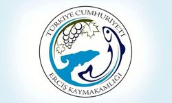 ERCİŞ’TE BÜYÜK ARAÇ İHALESİ: 15 ARAÇ SATIŞA ÇIKIYOR!