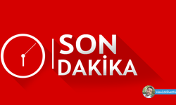 Van AK Parti'de Yeni Atanan 5 İlçe Başkanı Belli Oldu