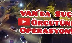Van'da Organize Suç Örgütüne Operasyon