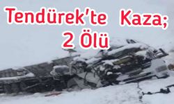 Tendürek'te Trafik Kazası; İki Ölü