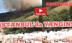 İstanbul Heybeliada'da Korkutan Yangın!