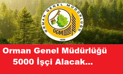 Orman Genel Müdürlüğü 5000 İşçi Alım Başvuruları Başlıyor