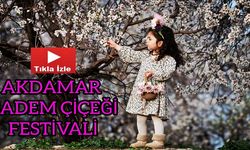 Akdamar Badem Çiçeği Festivali Renkli Görüntülere Sahne Oldu