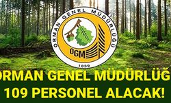 Orman Genel Müdürlüğü 109 Personel Alacak