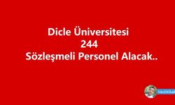 Dicle Üniversitesi 244 sözleşmeli personel alacak