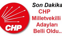 CHP Van Milletvekili Adayları Belli Oldu!