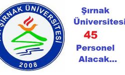 Şırnak Üniversitesi 45 Personel Alacak