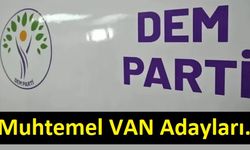 Usta Gazeteci DEM Partinin Van'daki Muhtemel Büyükşehir Adaylarını Yazdı
