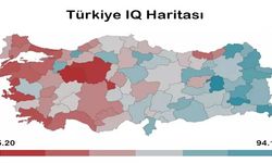 Türkiye'nin En Zeki Şehirleri Sıralaması Belli Oldu: İşte Van'ın Sıralaması...