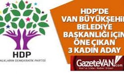 HDP'nin Van Kadın Adayları