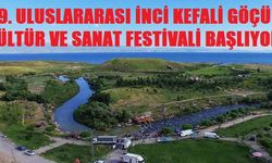 Erciş İnci Kefali Göçü Kültür ve Sanat Festivali Başlıyor