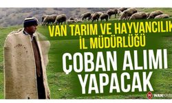 Van'da Kamuya Çoban Alınacak