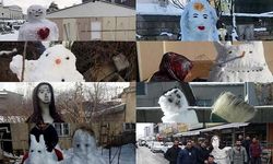 Kar Yağışının Van'da Sanata Dönüştüğü Anlar