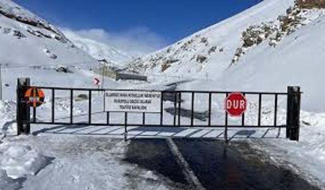 Van'da İki İlçenin Yolu Çığ Nedeni ile Kapandı