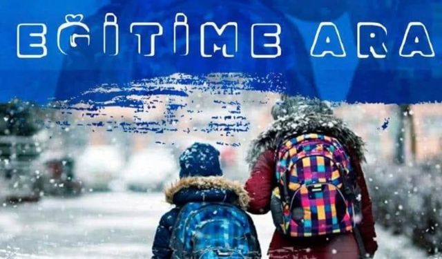 Van'ın Bir İlçesinden Kar Tatili Haberi Geldi!