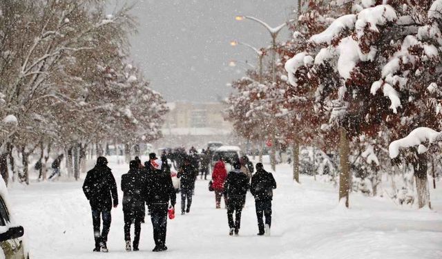 Van YYÜ lisansüstü sonuçları belli oldu