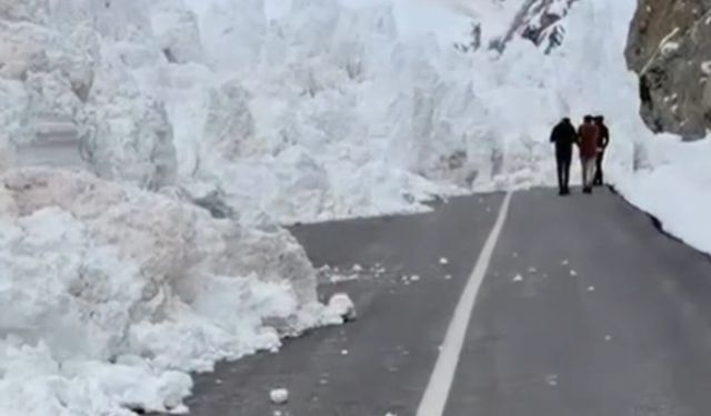 Van-Hakkari  karayolunda çığ: Ulaşım durdu