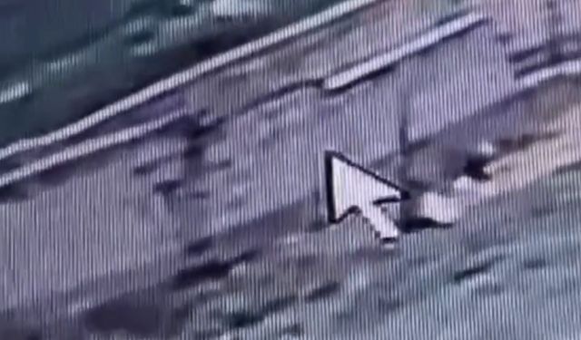 Van’da Köpek Saldırısında 1 Çocuğun Hayatını Kaybettiği Görüntüler Ortaya Çıktı