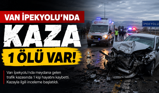 Van’da trafik kazası: 82 yaşındaki yurttaş yaşamını yitirdi
