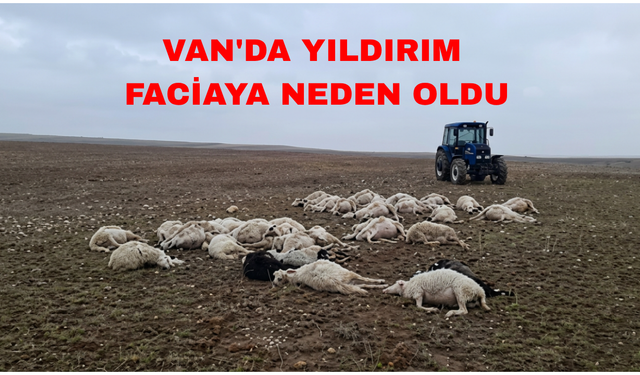 VAN'DA YILDIRIM FACİAYA NEDEN OLDU