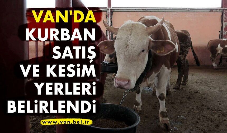 Van Kurban Satış ve Kesim Yerleri Açıklandı İşte Adresler