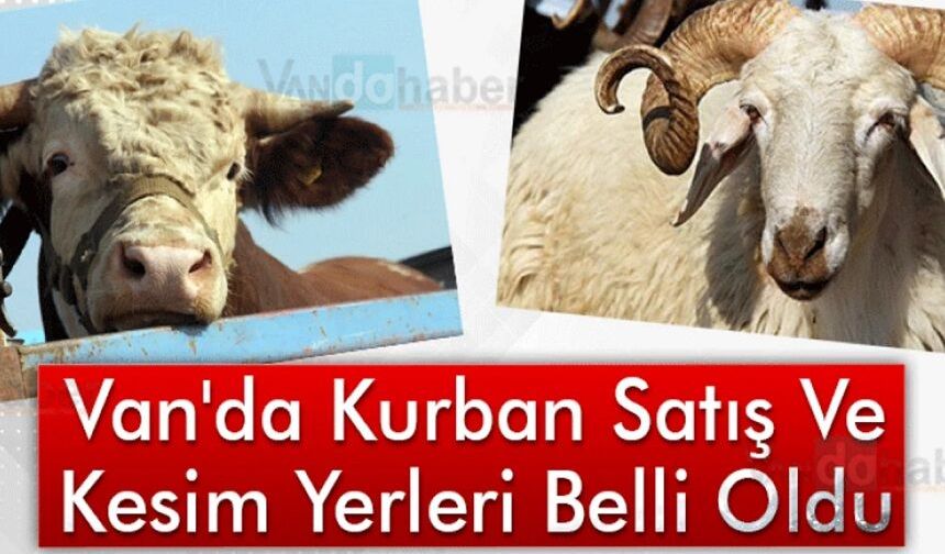 Van’da Kurban Satış ve Kesim Yerleri Belirlendi!