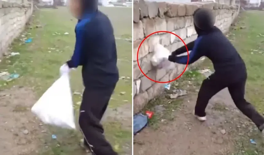 Van’da Hayvana Şiddet Görüntülerine Tepki