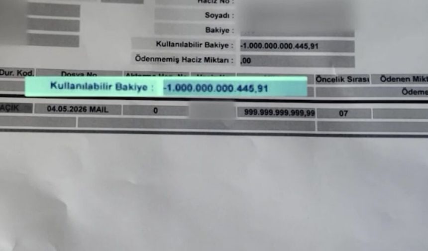 Van'da akılalmaz olay