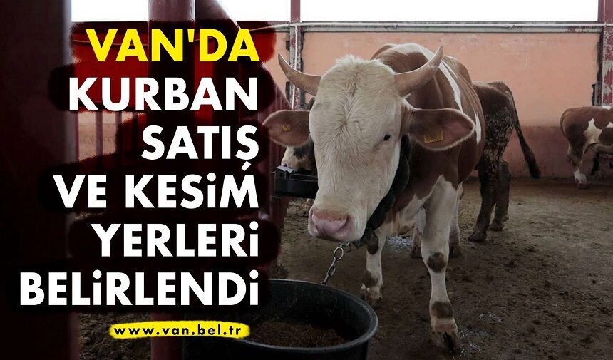Van Kurban Satış ve Kesim Yerleri Açıklandı: İşte 2026 Tam Adres Listesi