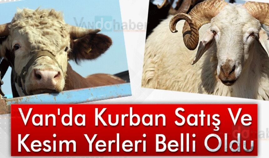 Van’da Kurban Satış ve Kesim Yerleri Belirlendi! İşte Güncel Adresler