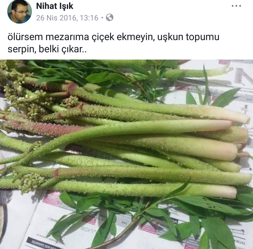 Vanlı Nihat Hoca En Komik Payaşımlar (1)