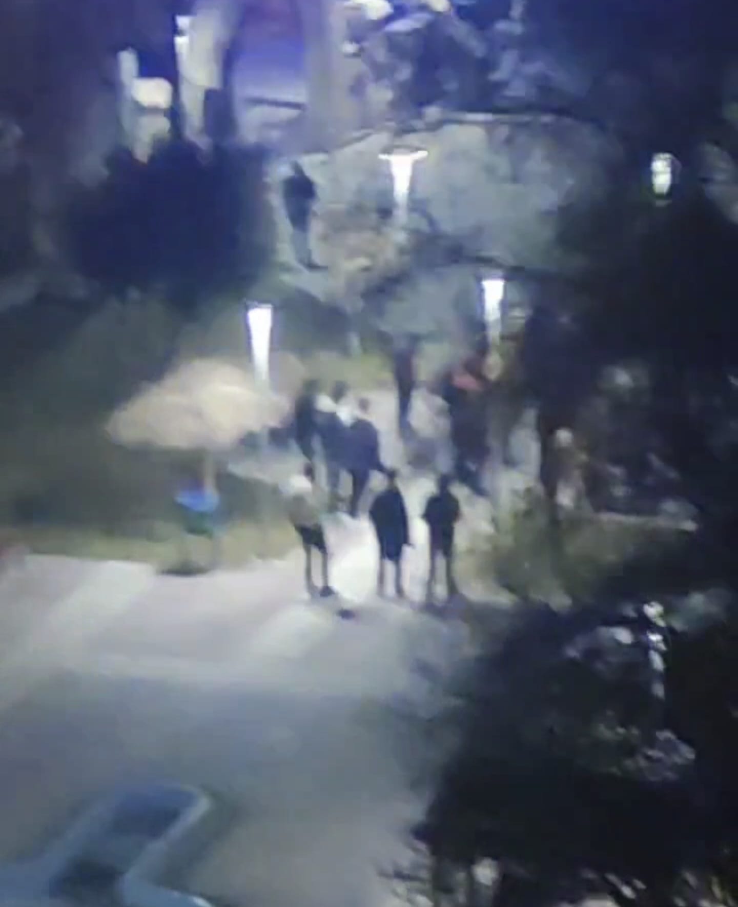 Van Son Dakika Bir Genç Silahla Vuruldu (2)