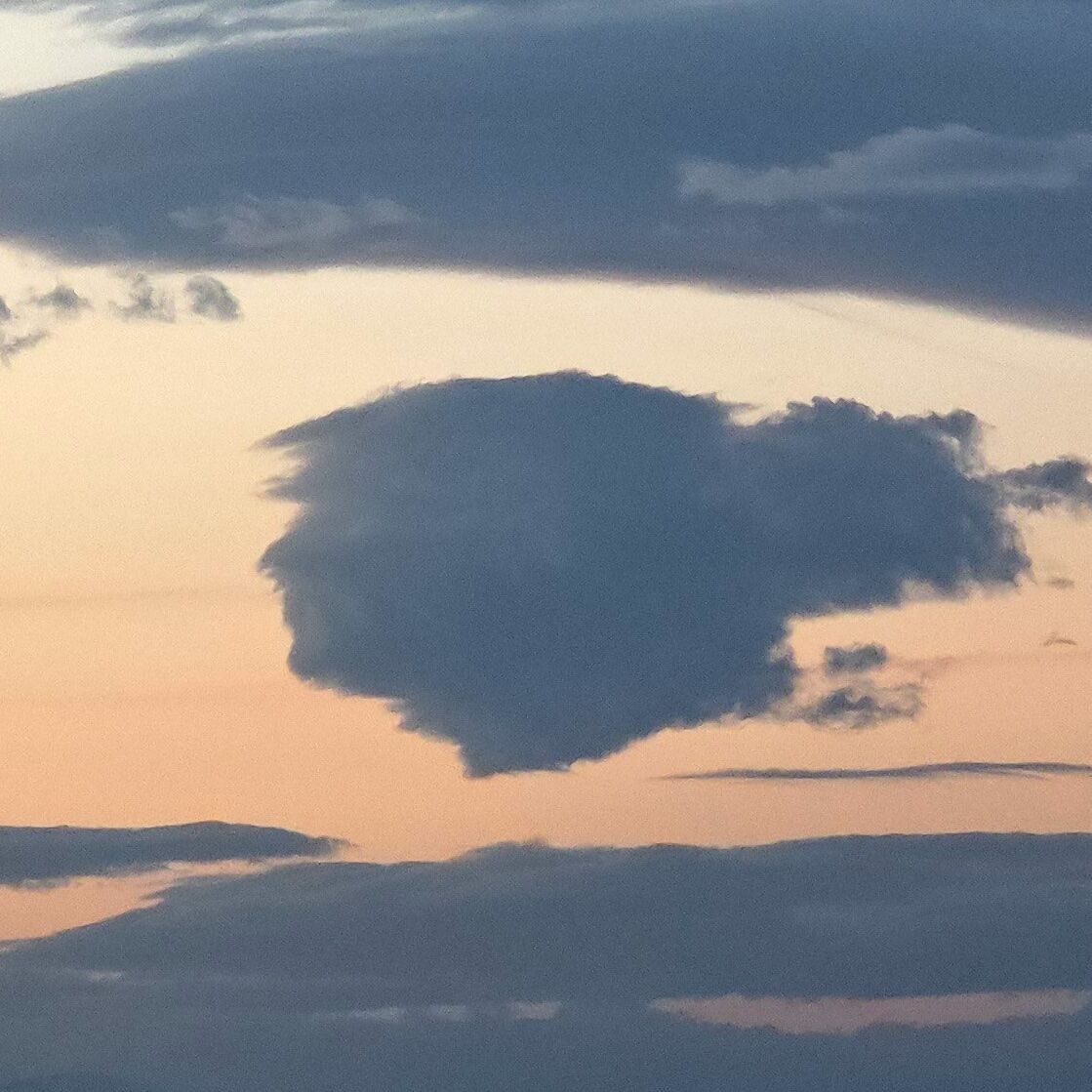 H G1G50 Kbw A Ewg I4