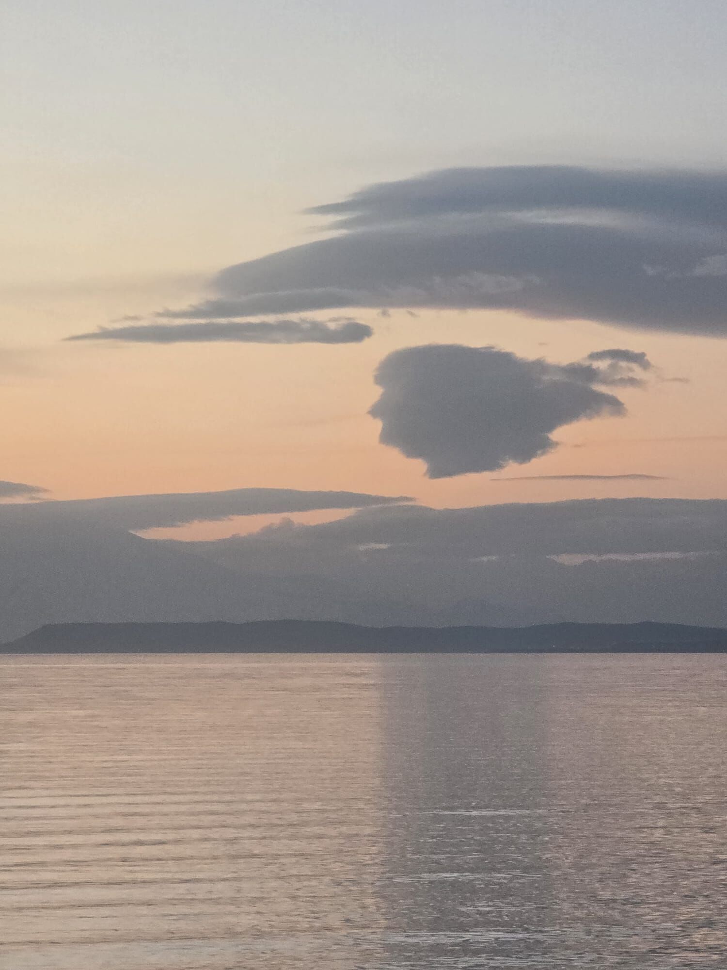 Van Trump Silueti (2)