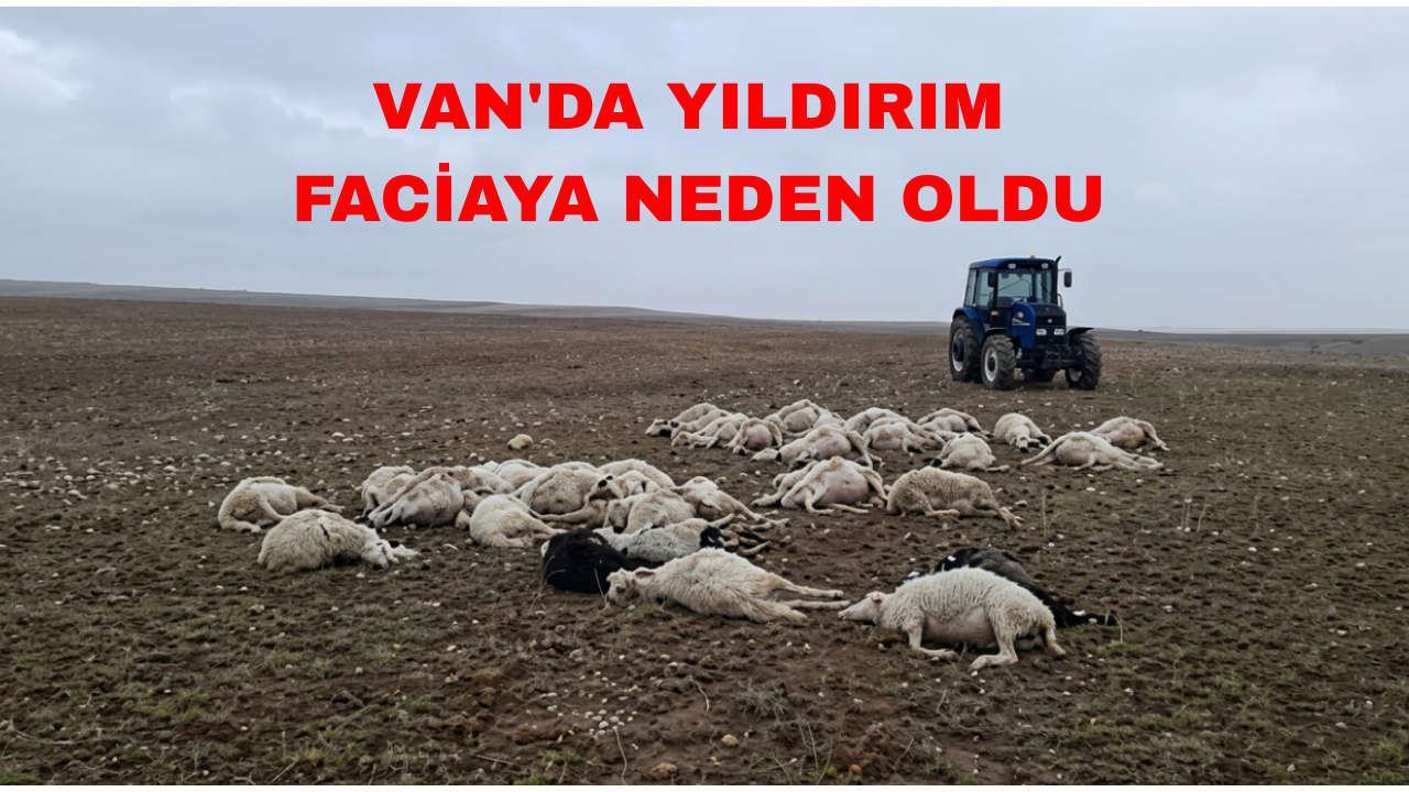 VAN'DA YILDIRIM FACİAYA NEDEN OLDU