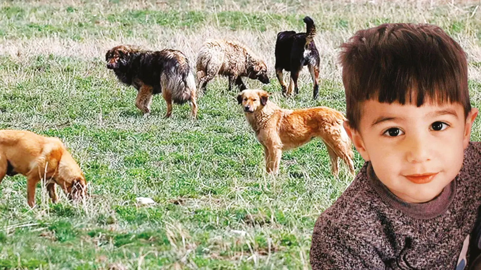 Van Son Dakika Içişleri Açıklama