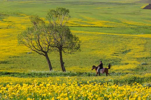 Ayın Fotoğrafın Çatak'tan da Fotoğraf Var